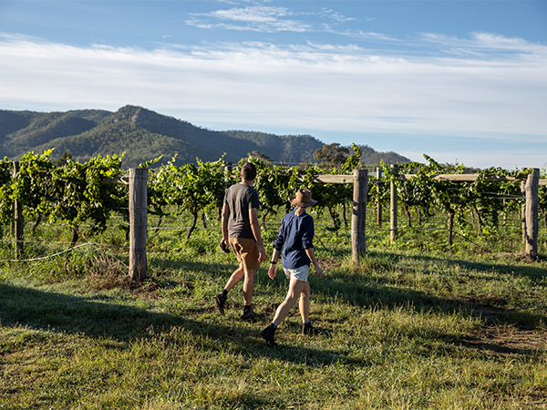 Winemaking process